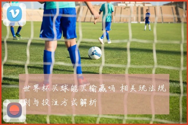 世界杯买球能买输赢吗 相关玩法规则与投注方式解析