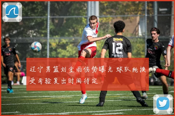 辽宁男篮刘金雨伤势曝光 球队轮换受考验复出时间待定